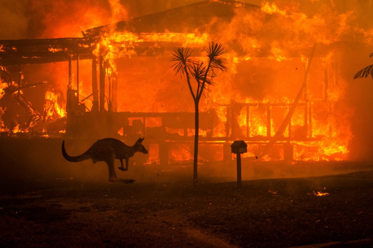 L'Australie consacre 2 milliards de dollars à la reconstruction après les incendies