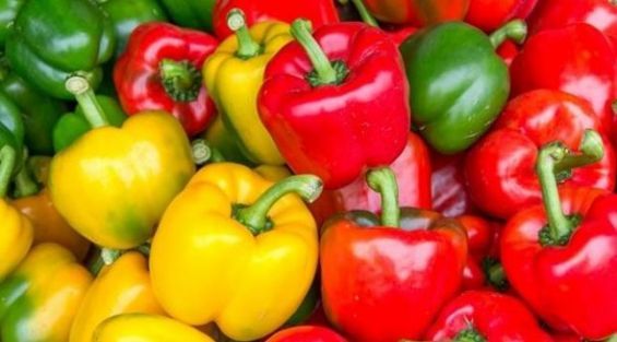 Allemagne : Retrait des poivrons marocains pour forte concentration en pesticides