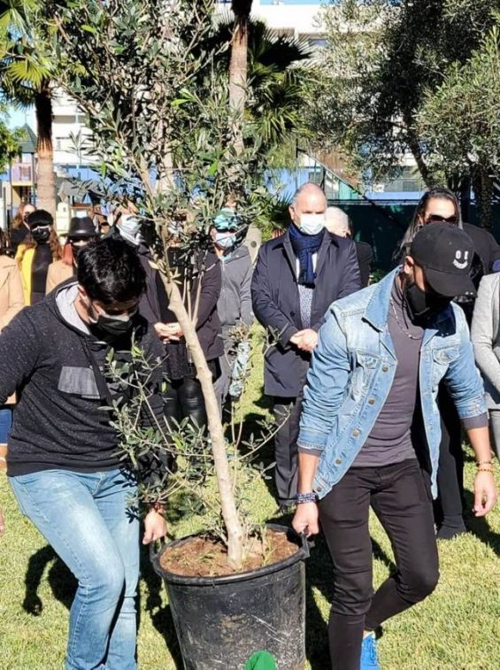 Un olivier planté à Casablanca en signe de fraternité entre musulmans et juifs