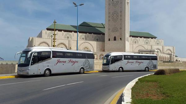 Transport touristique : Le CVE à la rescousse d’un secteur durement touché