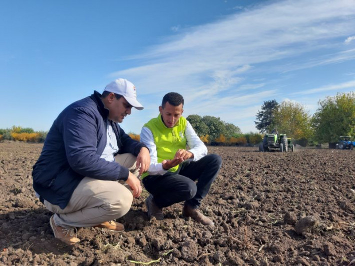 Campagne agricole : le ministère confirme l'amélioration des perspectives