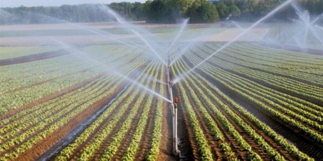 Rabat-Salé-Kénitra : une économie considérable en irrigation se profile