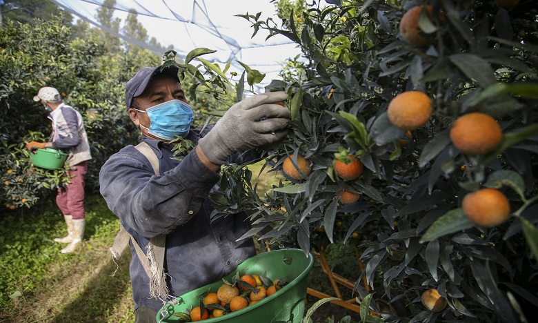 Démantèlement d'une filière de saisonniers marocains en France