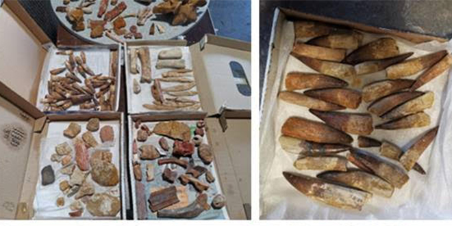 Patrimoine: La Douane saisit 200 kg de pièces interdites à l’exportation