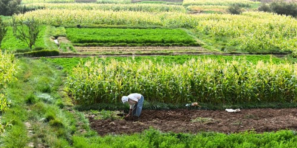 Génération Green 2020-2030 : L’Organisation Internationale du Travail s’implique