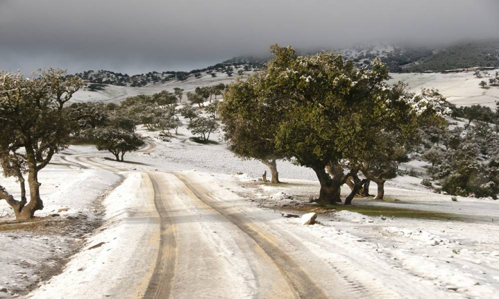 Alerte météo : Chutes de neige du mardi au mercredi dans plusieurs provinces