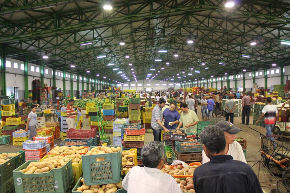 Marché de gros de Casablanca : 150 MDH de recettes en 2021, meilleure performance depuis 1986