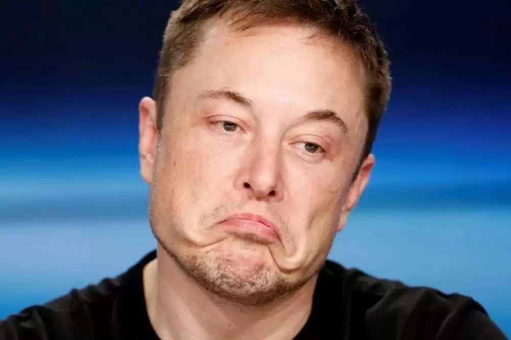 Elon Musk perd 200 milliards de dollars de sa fortune