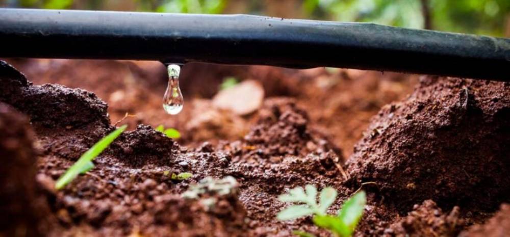 Agriculture: Une irrigation économe en eau qui couvre 750.000 ha