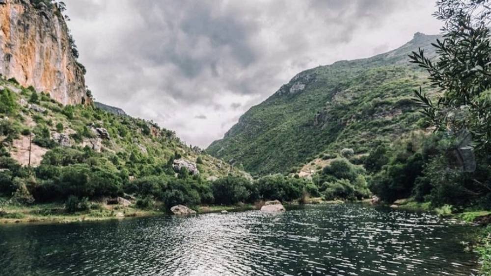 Chefchaouen: Lancement d'une opération de reboisement au Parc de Talassemtane