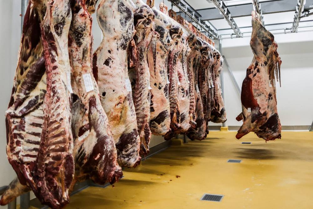 Viande bovine: ce que coûte le retour de la TVA sur les importations