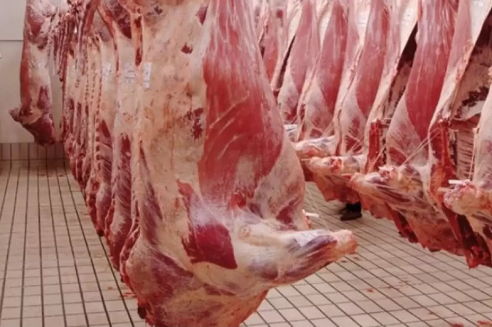 Rumeurs de viande rouge toxique : La FMDC et l’ONSSA réagissent