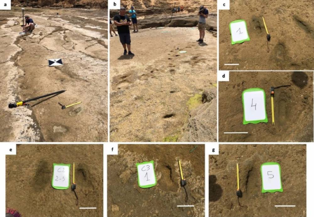 Les plus anciennes empreintes d'homo sapiens en Afrique du Nord découvertes au Maroc