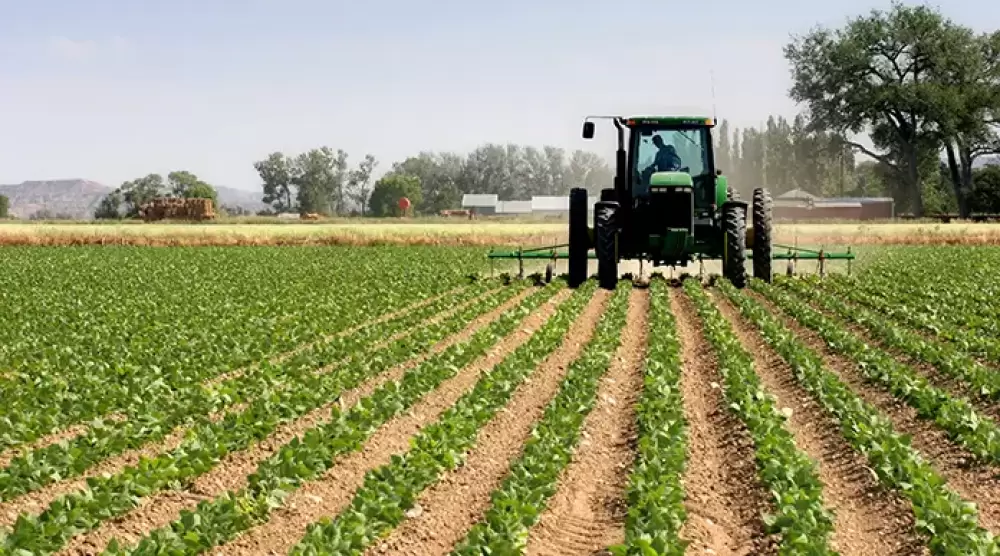 Cultures d'automne : 2,8 millions d’hectares emblavés