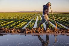 Maroc : Les barrages à usage agricole affichent un taux de remplissage de 26%