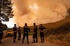 Le feu de forêt de Jbel Aghendrou dans la province d'Al Hoceima maitrisé