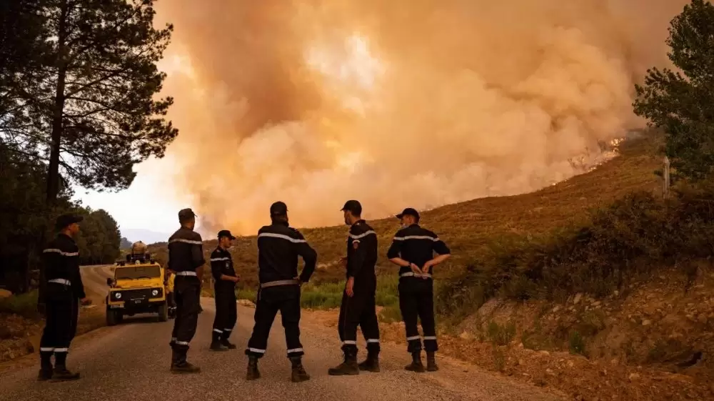 Le feu de forêt de Jbel Aghendrou dans la province d'Al Hoceima maitrisé