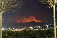 Incendie près de Tétouan : des dizaines d’hectares de forêt détruits