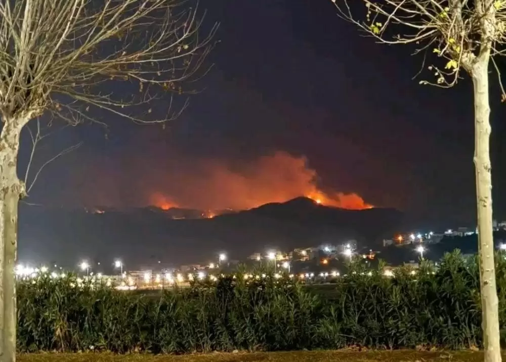 Incendie près de Tétouan : des dizaines d’hectares de forêt détruits