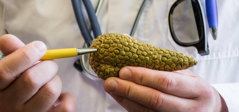 Espagne : des chercheurs parviennent à éliminer le cancer du pancréas chez la souris