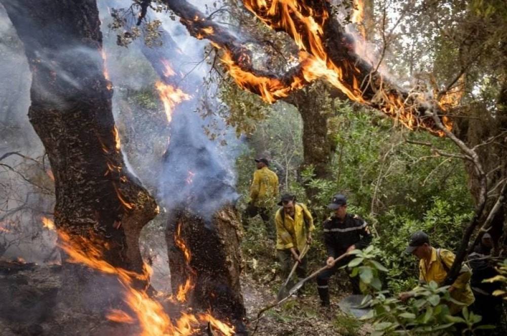 Changement climatique : 68 % des Marocains exigent une action immédiate du gouvernement
