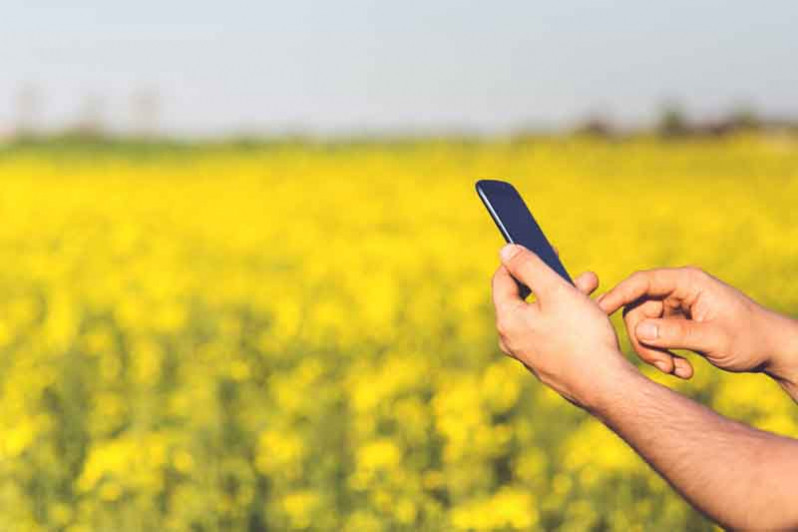 Subventions agricoles : Lancement d’une plateforme électronique dédiée au dépôt des dossiers