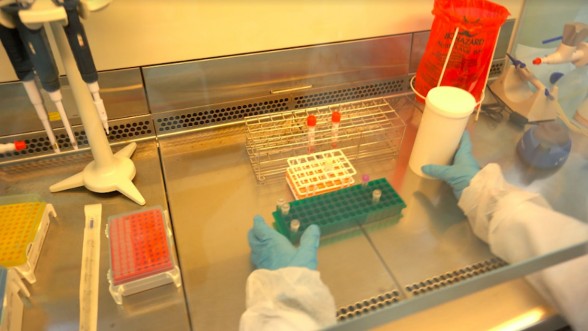 Coronavirus au Maroc: la vague épidémique grossit encore, 1.063 contaminations en 24 heures