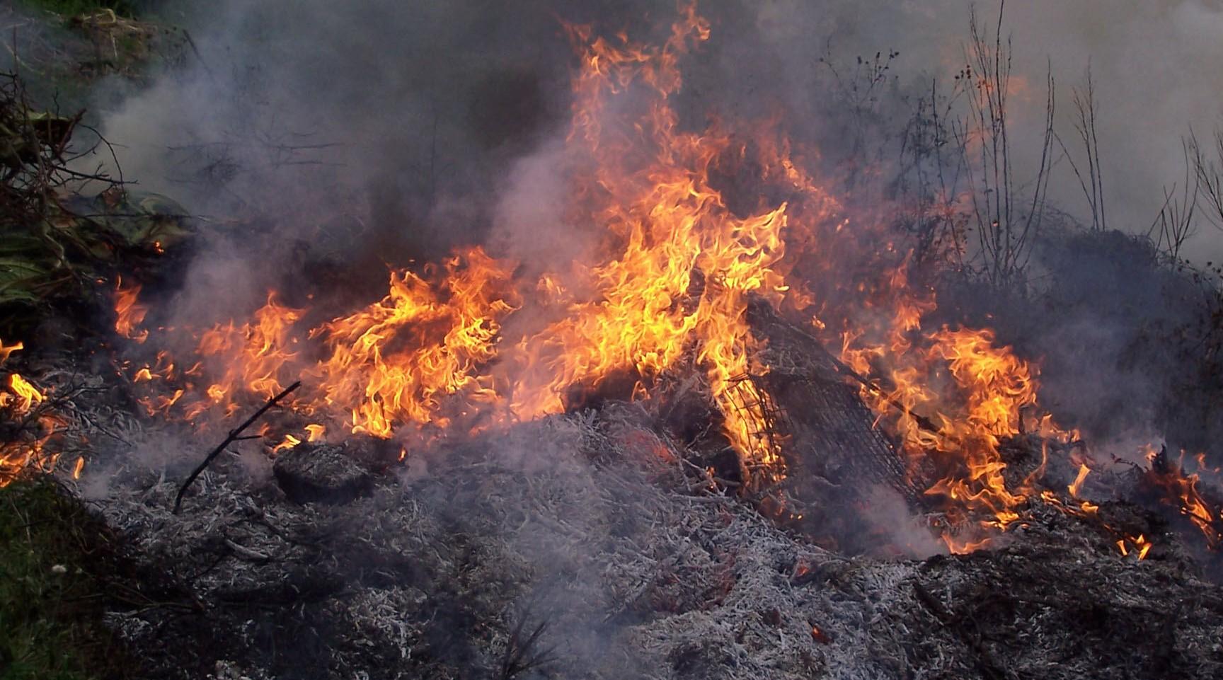 Tanger: un incendie dans la forêt diplomatique maîtrisé, 36 ha ravagés