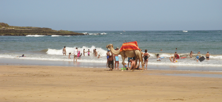 Maroc : 26 plages et un port de plaisance labellisés « Pavillon Bleu » pour l’été 2020