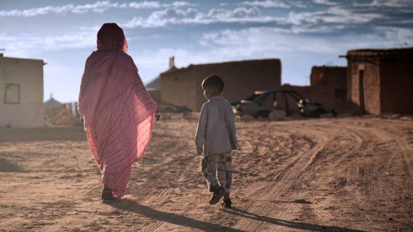 La Commission européenne interpellée au sujet des exécutions extrajudiciaires dans les camps de Tindouf