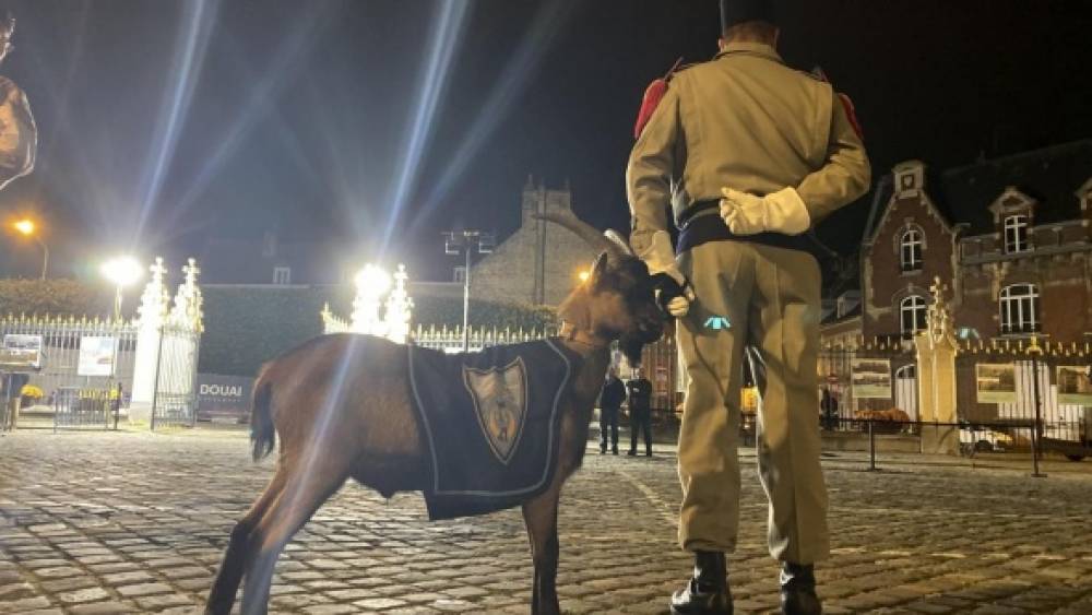 14-juillet en France: à Douai, un bouc prénommé "Mansour", en hommage à un caporal marocain, a été distingué