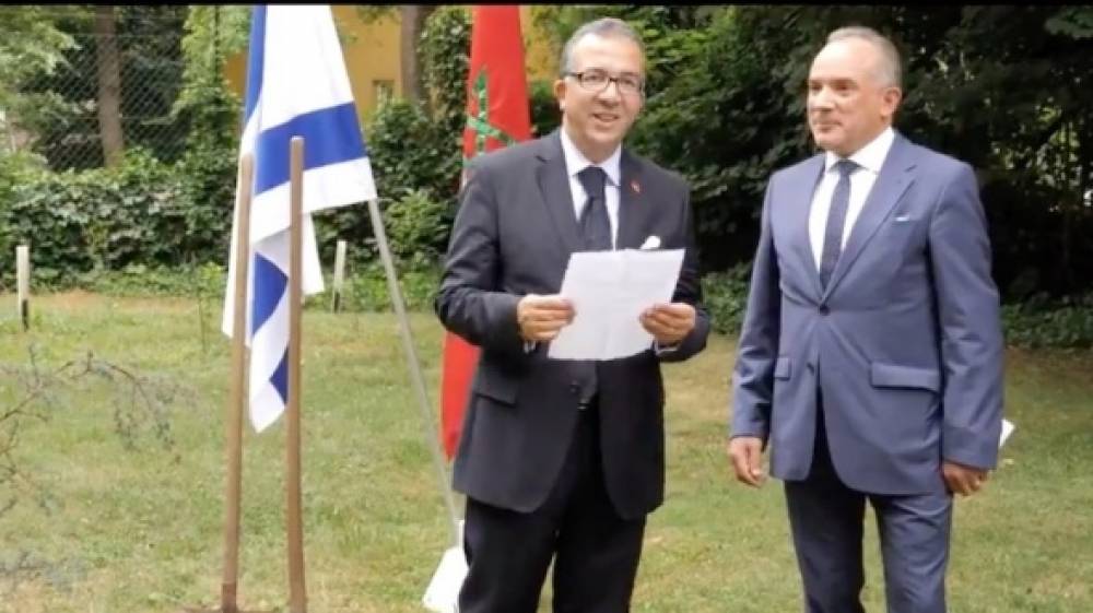 En Autriche, le Maroc et Israël plantent le "cèdre de l’amitié", un cèdre de l’Atlas