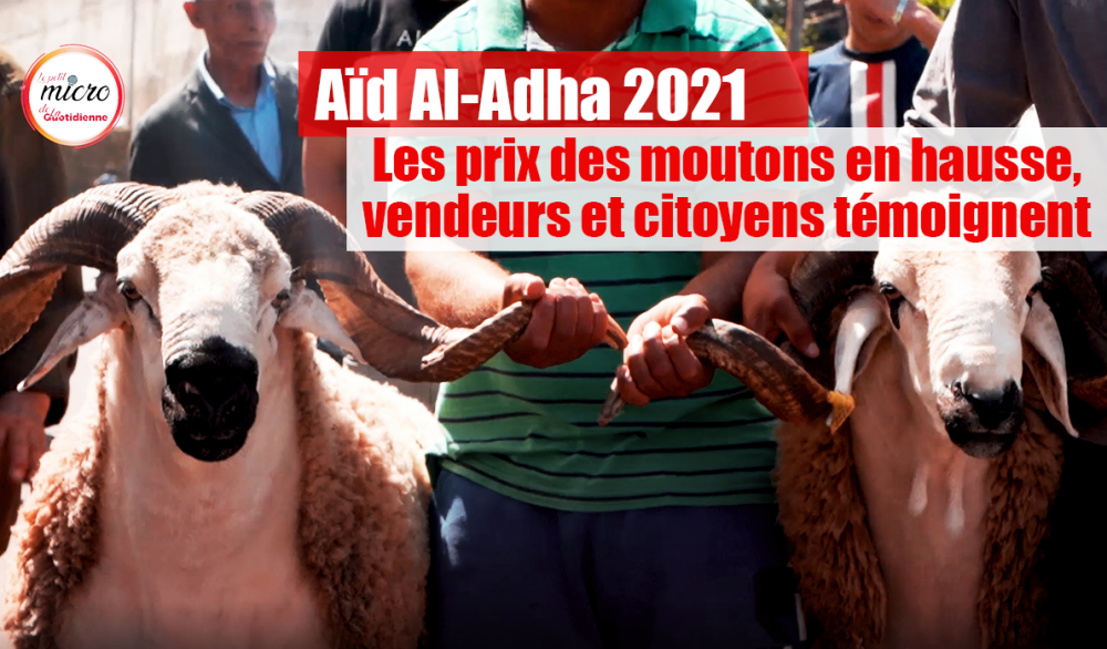 Aïd Al-Adha 2021 : Les prix des moutons en hausse, vendeurs et citoyens témoignent