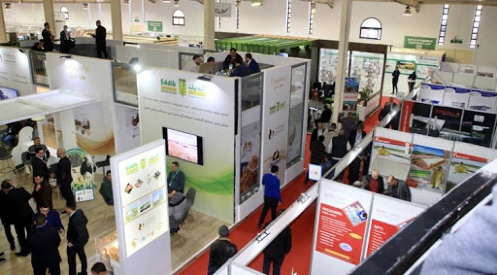 Aviculture : Le Salon Dawajine de retour