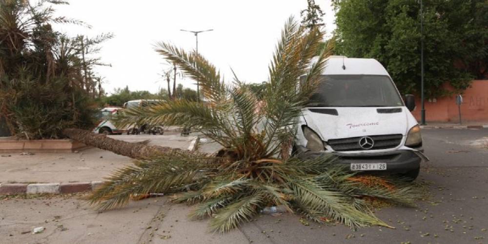 Marrakech : des vents très forts causent d’importants dégâts matériels