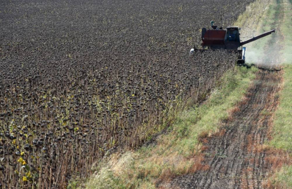Ukraine: la FAO intensifie ses efforts pour sauver la prochaine récolte