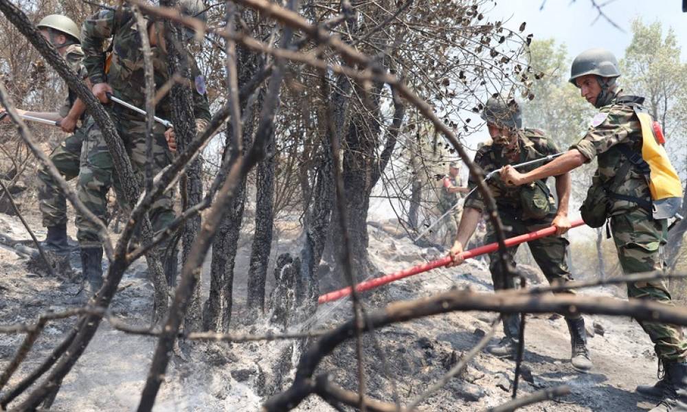 Larache : L'incendie de la forêt "Bni Ysef Al-Srif" complètement circonscrit