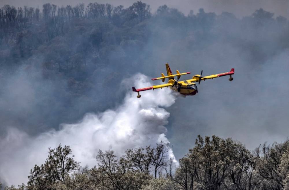 Feux de forêt à Ouezzane: renforts humains et logistiques pour protéger les habitations