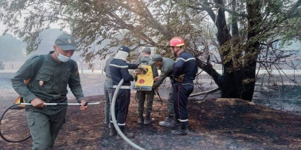 Benslimane : L’incendie de la forêt « Dahr Benomar » complètement circonscrit