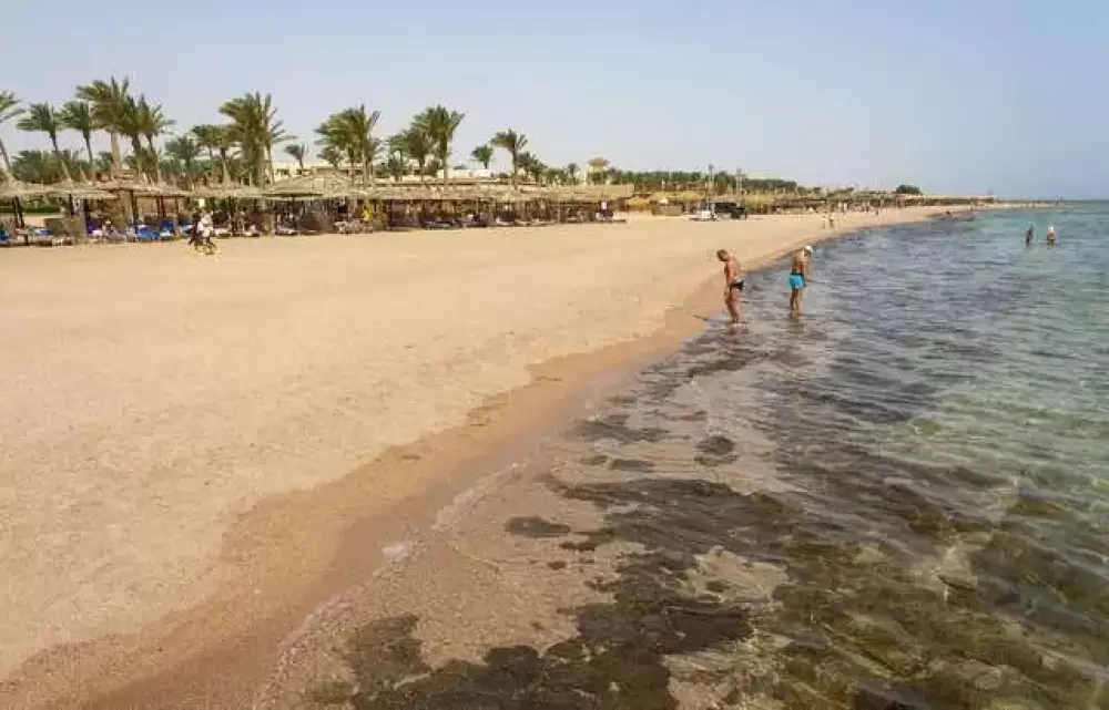 Egypte : Un requin tue deux touristes européennes en mer Rouge