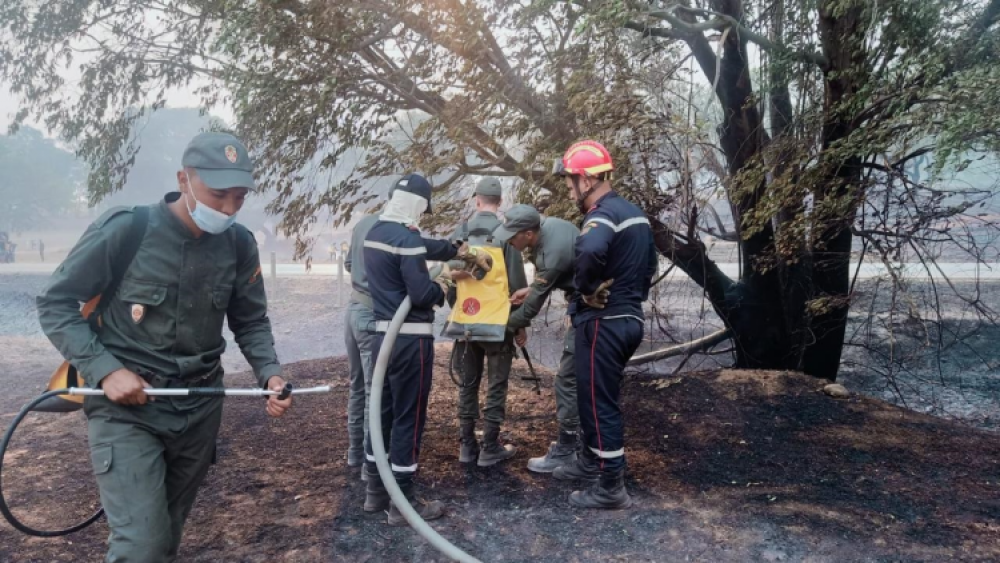 Taza : L’incendie de la forêt Bab Azhar maîtrisé