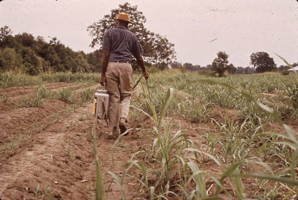 Les pesticides utilisés en Afrique du Sud, un danger pour l’Homme et l’environnement