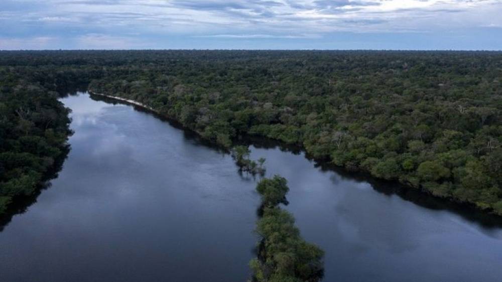 Biodiversité au Brésil : course contre la montre des scientifiques en Amazonie