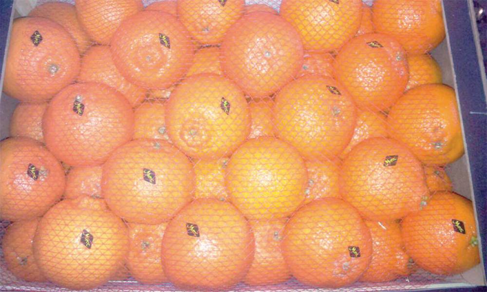 Mandarines : Record des exportations marocaines vers le Canada en avril dernier