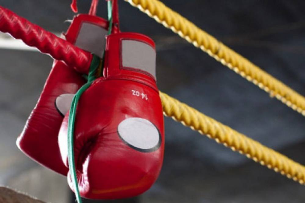 Boxe : L'équipe nationale prend part aux championnats d'Afrique au Cameroun