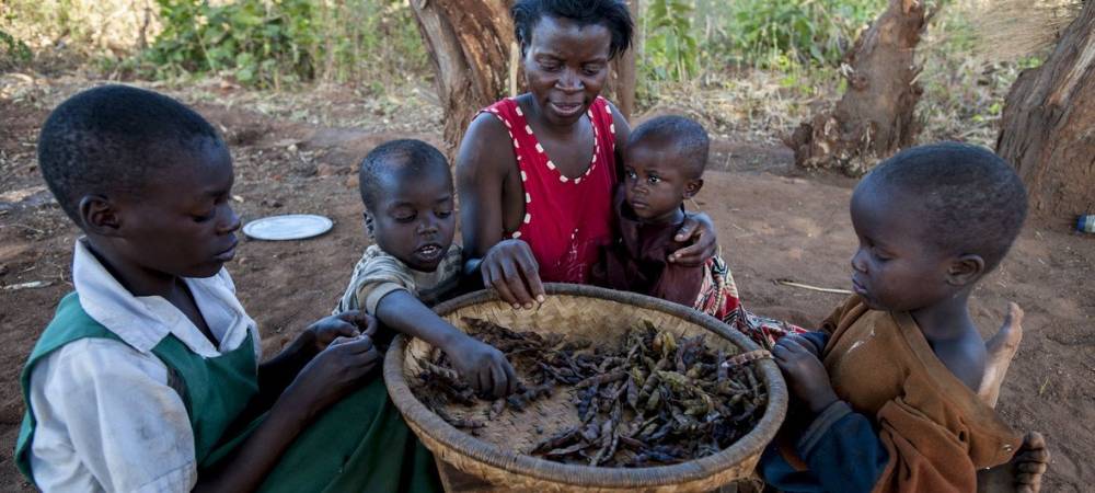 ONU: la faim s'est stabilisé dans le monde en 2022