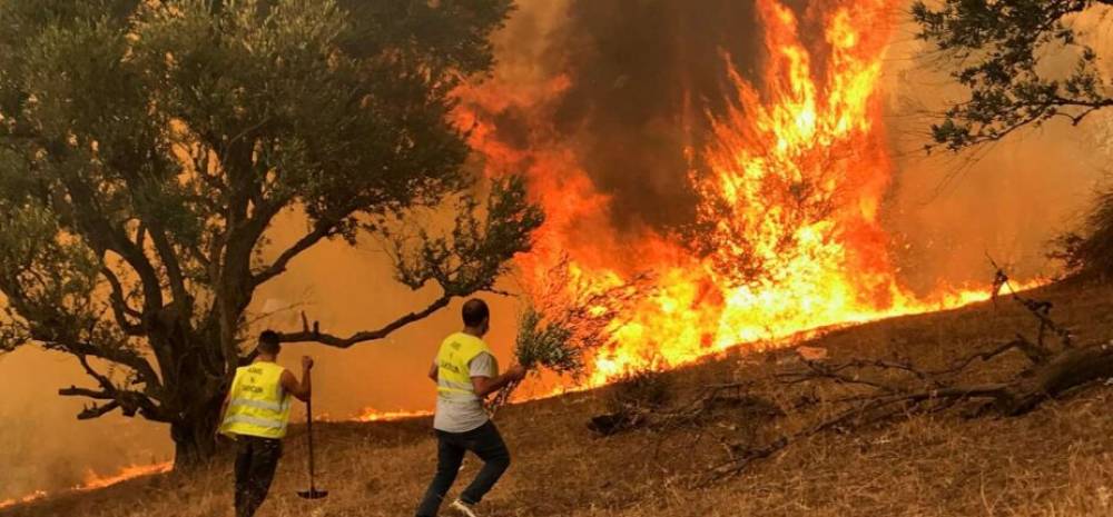 MAE: le Maroc suit avec grande peine et regret les feux de forêt en Algérie