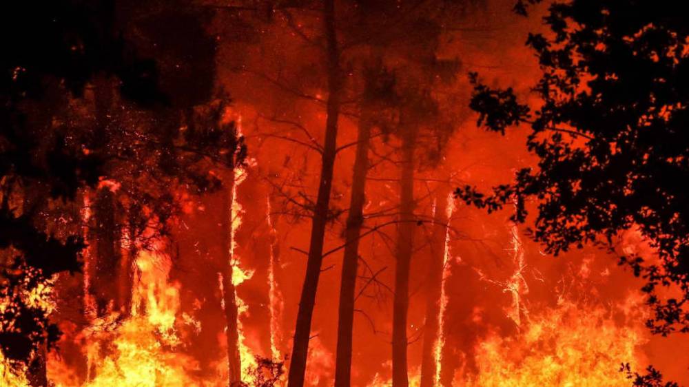 L'incendie de forêt à Beni Snassen cause la perte d’environ 1200 hectares