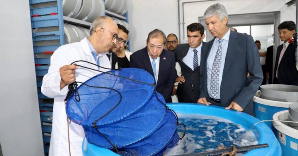 Tanger : Mohamed Sadiki lance les travaux de construction de la première écloserie de poissons marins au Maroc