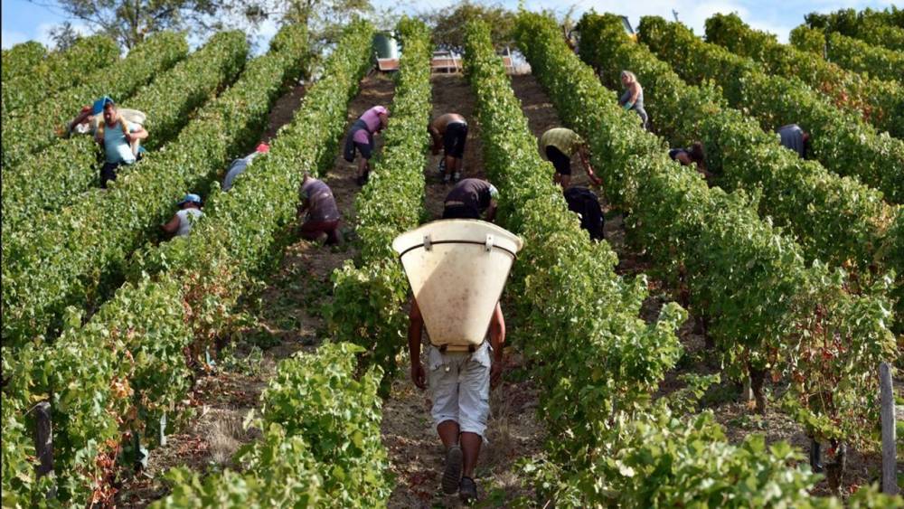 Agriculture : Une convention pour faciliter le recrutement de saisonniers marocains en France